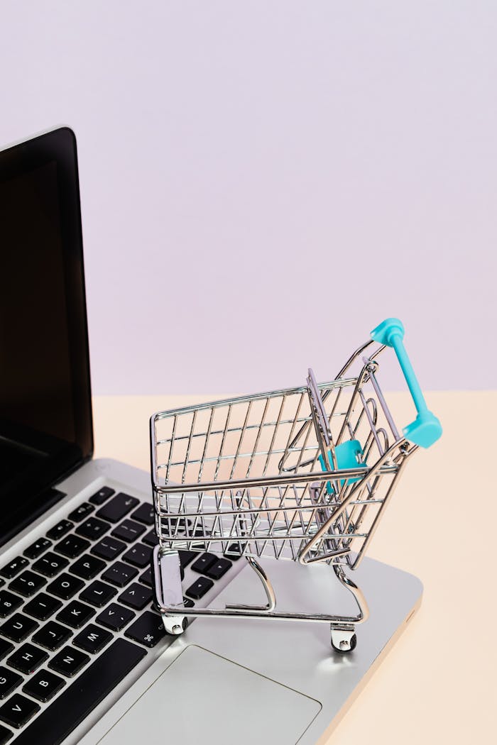 services-01 Mini shopping cart on a laptop symbolizes online shopping and e-commerce themes.