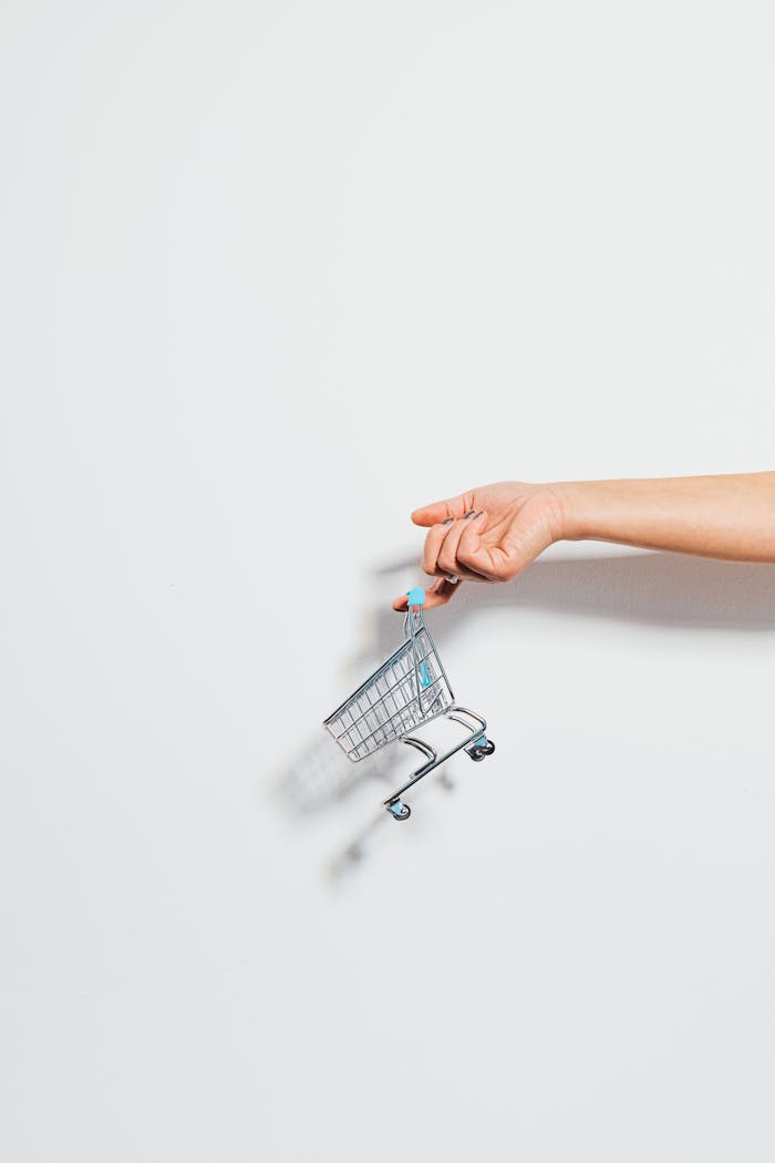 services-03 A hand holding a miniature shopping cart against a clean white background, emphasizing simplicity.