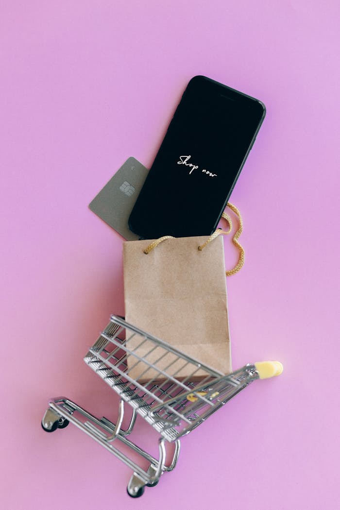services-02 A smartphone, credit card, and bag in a miniature shopping cart on a pink background.